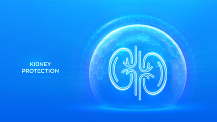 Kidneys care. Healthy kidneys medical concept. Human kidney anatomy organ icon inside protection dome sphere shield with hexagon pattern on blue background. Immunity protection. Vector illustration.