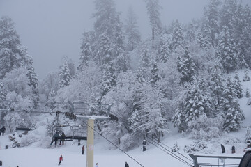 ski resort in winter