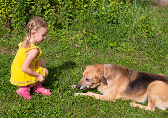 On a hot summer day, a beautiful girl is playing outside with a big dog.