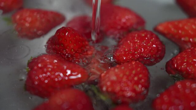 Washing, cleaning ripe red strawberry in a sink. Washing strawberries from water faucet.
