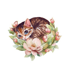 Sleepy cat. Cute floral illustration with watercolor kitten. - 758555945