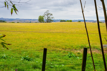 Farmland fields under grey sky