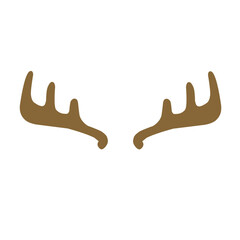 Deer Antlers 