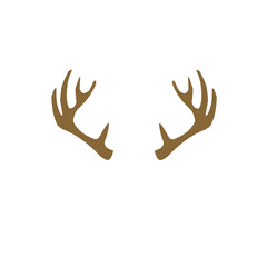 Deer Antlers 