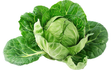 Obraz premium Crisp Organic Brussels Sprouts isolated on transparent Background