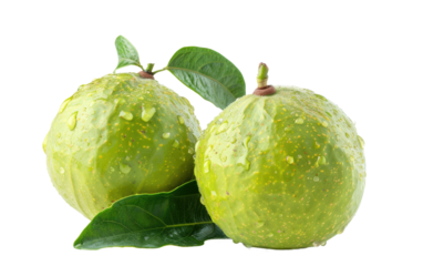 The Marvelous Guava: A Tropical Treat isolated on transparent Background