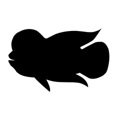 Louhan Fish Silhouette 