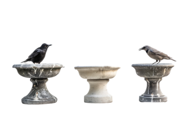 Bird Baths Made from Plastic Material isolated on transparent Background