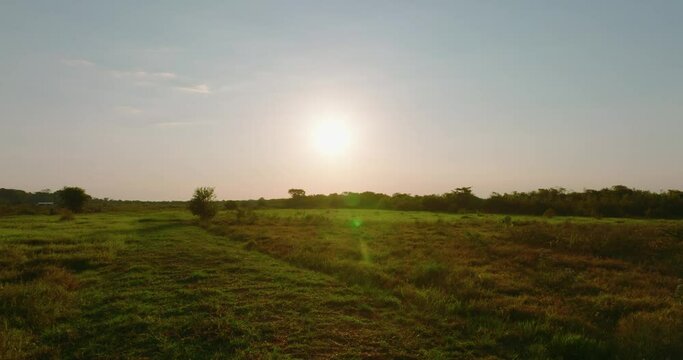 Sunrise over a serene Arauca landscape with warm light gracing green fields
