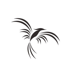 Bird logo design, bird template design
