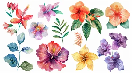 Zelfklevend behang Tropische planten Set over white background, a watercolor flower is set over a beautiful watercolor background