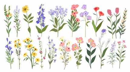 Modern illustration of beautiful bouquets with garden and wild flowers. Collection of various blooming plants isolated on white background. - obrazy, fototapety, plakaty