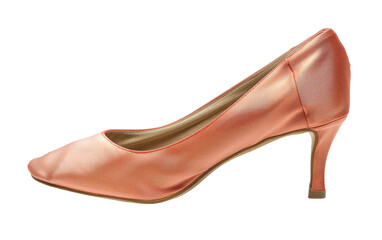 Ladies' Footwear isolated on transparent Background