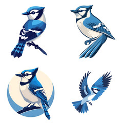 Flat logo of big birds Blue Jay on isolated white background