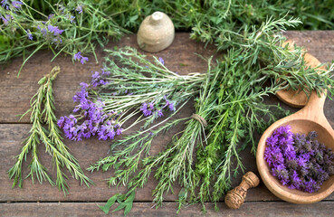 Curate a collection of photos depicting the process of wildcrafting medicinal herbs, from foraging in nature to creating herbal preparations.