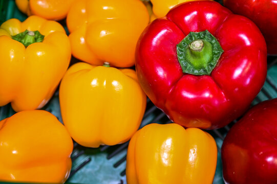 Unverpackt Einkaufen im Unverpackt-Laden - gelbe und rote Paprika unverpackt in der Auslage, fotografiert von oben