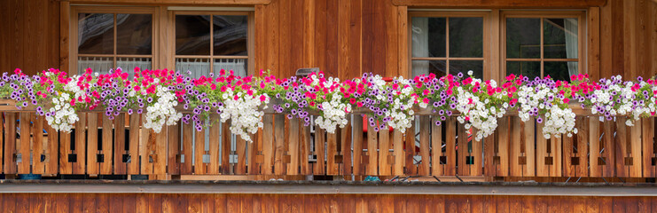 Traditional flowered balcony at the Alps and Dolomites. Colorful flowers on balcony. Summer time....