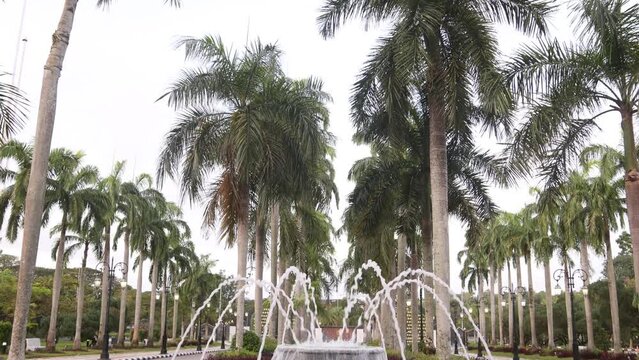fountains and palm trees in the garden courtyard of Jame' Asr Hassanil Bolkiah Mosque in Bandar Seri Bagawan in Brunei Darussalam