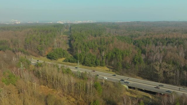highway cuts through the forest on its approach to Gdynia, aerial shot, with the treeline receding towards the city, reflecting a blend of natural and urban environments