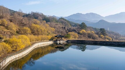 Fototapeta premium 구례산수유 축제장 현천마을의 현천지와 산수유꽃