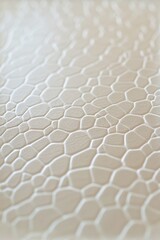 Obraz premium A white background with a pattern of small, white rocks