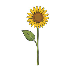 Sunflower Hand Drawn Cartoon Style Illustration