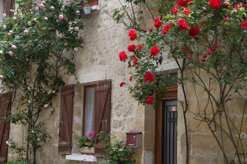 old house with flowers