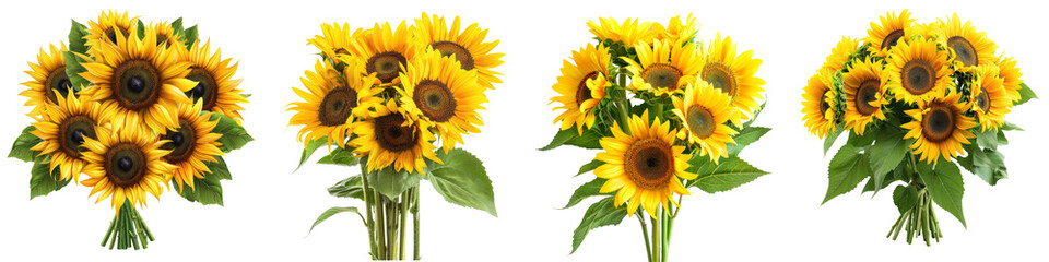 Collection of sunflowers bouquet isolated transparent background. PNG, cutout - obrazy, fototapety, plakaty