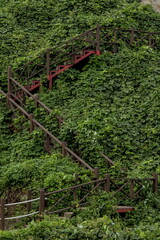 stairs in the mountain