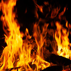 Fire, tongues of flame rise over firewood
