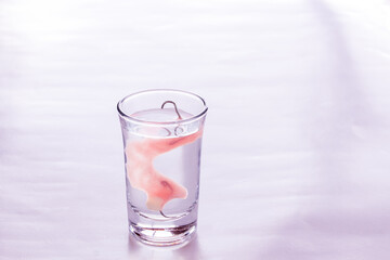 Close up acrylic dentures immersed in a glass of water