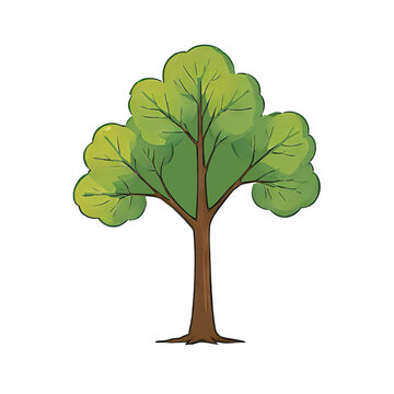 Tree Hand Drawn Cartoon Style Illustration