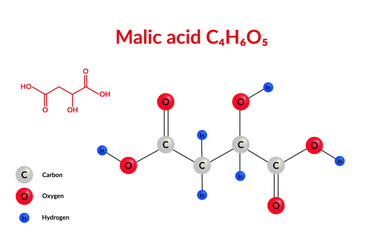 Malic acid molecular structure formula C4H6O5