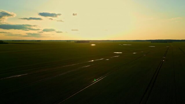 Aerial footage of fertile lush green farmlands glistening in bright sunshine, orbit shot.