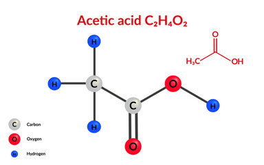 Acetic acid molecular structure formula (C2H4O2), suitable for education or chemistry science content.
