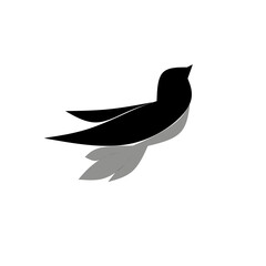 illustration of a bird. Bird logo design vector in black and gray on white background