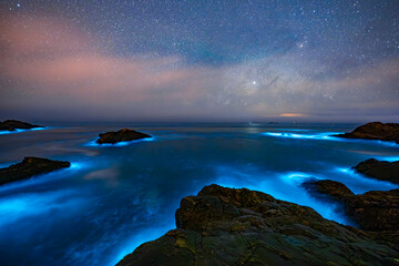 Blue tears Noctiluca under the starry sky. Photographed in Matsu, Taiwan