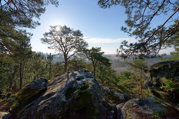 Dame Jouanne rock panorama in The massif of Fontainebleau - 758638596