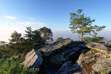 Dame Jouanne rock panorama in The massif of Fontainebleau - 758640733