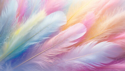 Fototapeta na wymiar Firefly pastel color feather abstract background 