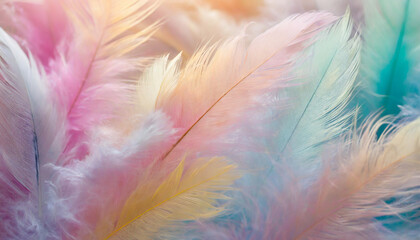 Fototapeta na wymiar Firefly pastel color feather abstract background 
