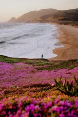 Peel and stick wall murals Height scale flowers on the beach