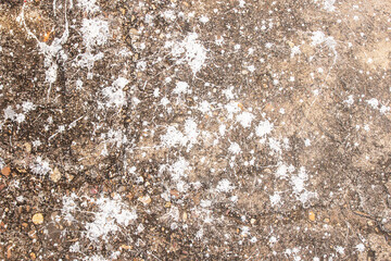 Vintage or grungy white background of natural cement