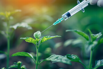 Plant-based vaccines grown in transgenic crops for cost-effective immunization. - obrazy, fototapety, plakaty