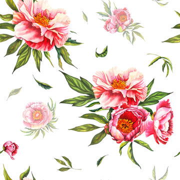 Vintage Style pink Floral Pattern on white Background, Spring Floral, Classic Dainty Floral Seamless Print Design Watercolor peony bud Flower in pastel rose colors with green leaves. Hand drawn floral