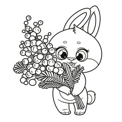 Cute cartoon bunny holding a large bouquet of mimosa flowers in paws outlined for coloring on white background
