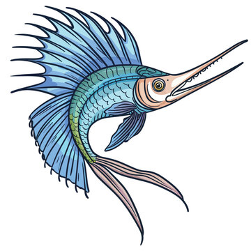 Illustration of a marlin fish on a white background. Hand drawn vector image.