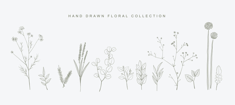 Handdrawn Line Art of a Set of Popular Natural Wedding Floral Element 