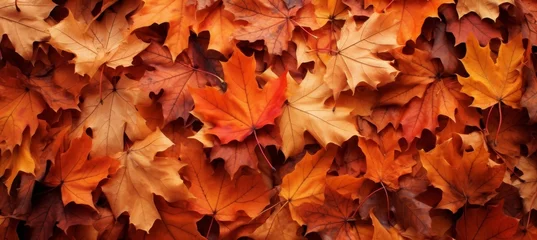 Tissu par mètre Rouge 2 beautiful autumn leaves,  copy space for text