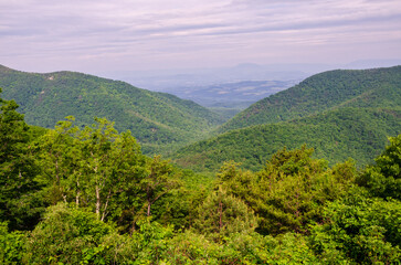 Fototapeta na wymiar Summer Time Overlook at The Blue Ridge Parkway, National Parkway and All-American Road